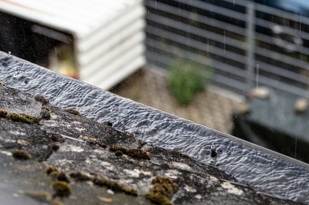 Gutter Cleaning