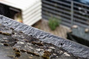 Gutter Cleaning